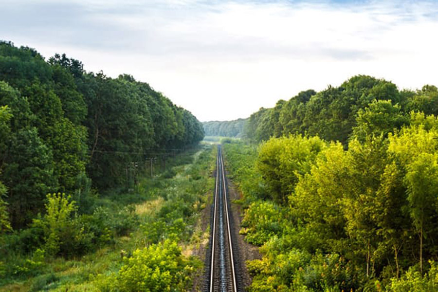 railroad-vegetation-management-1